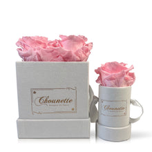 Load image into Gallery viewer, La Charmante & L' Etonnante Blanche
