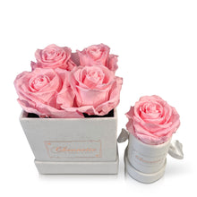 Load image into Gallery viewer, La Charmante & L' Etonnante Blanche | Pink