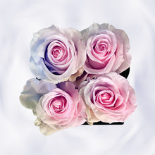 Load image into Gallery viewer, L' Etonnante