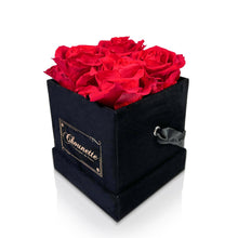 Load image into Gallery viewer, L' Etonnante