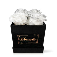 Load image into Gallery viewer, L' Etonnante