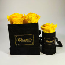 Load image into Gallery viewer, La Charmante & L' Etonnante Blanche
