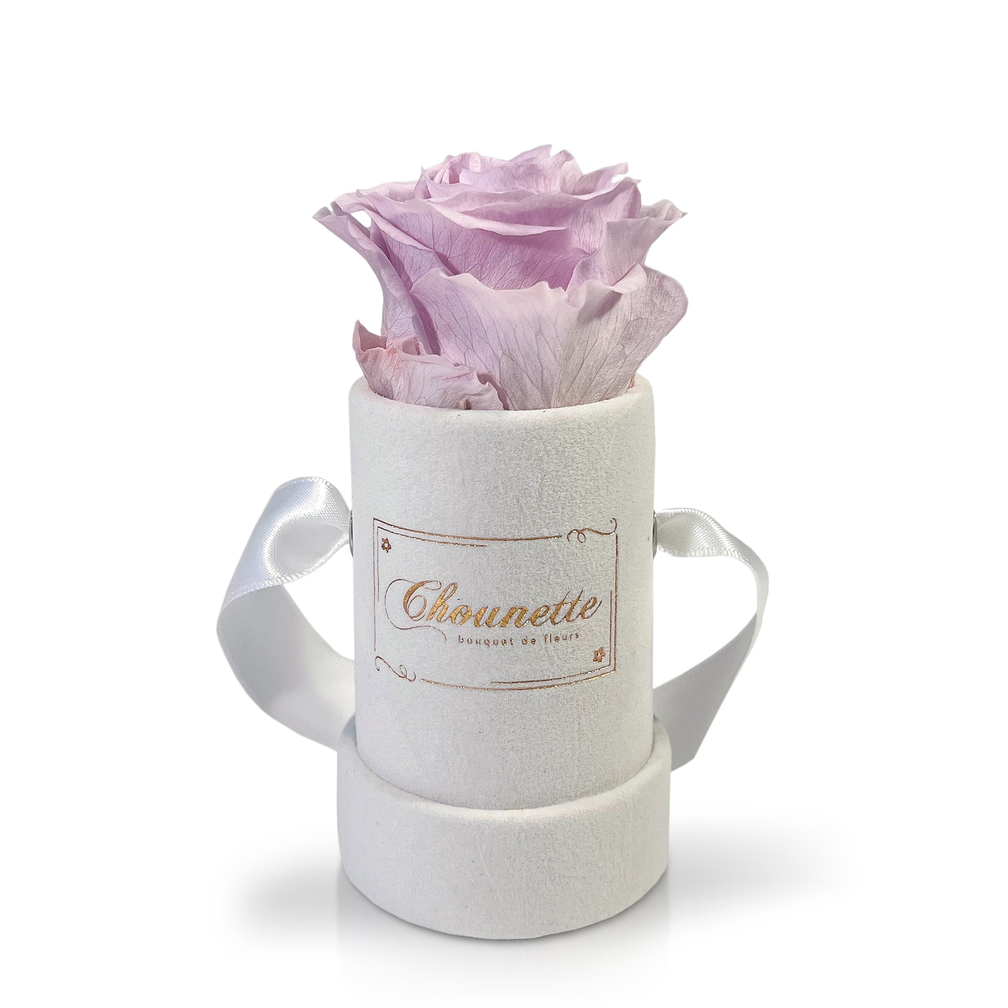 CHOUNETTE visual data 2