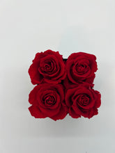 Load image into Gallery viewer, L' Etonnante