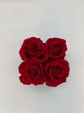 Load image into Gallery viewer, L' Etonnante