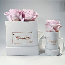 Load image into Gallery viewer, La Charmante & L' Etonnante Blanche